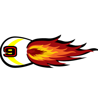 Ninebawl's emblem