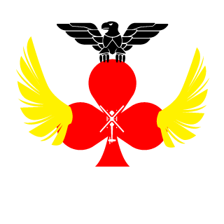 capitaoSOLOH's emblem