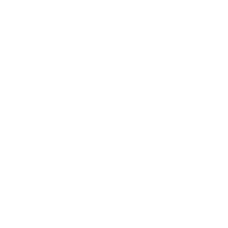 Solstice_24s's emblem