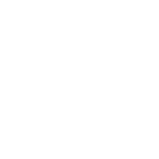 HudsonTime's emblem