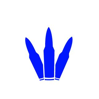 2e6c5a3de2ac2e20's emblem