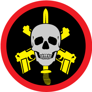 PereiraaOfc's emblem