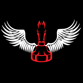 niickii_gc's emblem