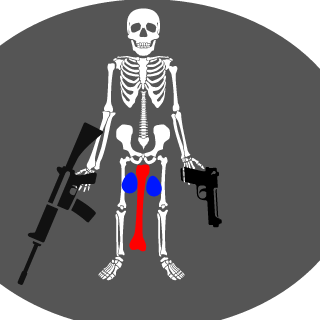 player1dms's emblem