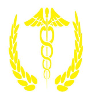 Sedoi1301's emblem