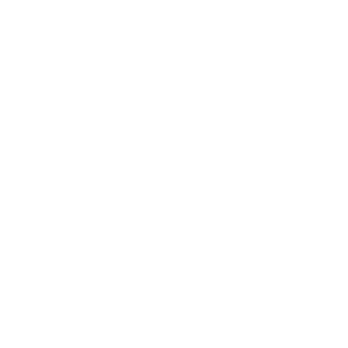 tiagomr21's emblem