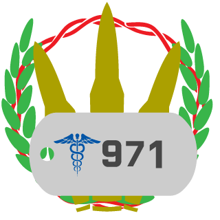 DerAEK-9711's emblem