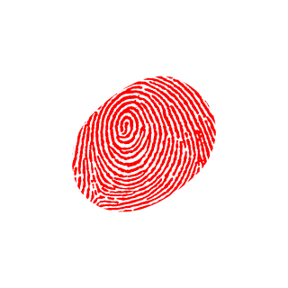 SAKKULLL's emblem