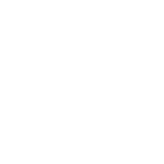 FireSpire's emblem