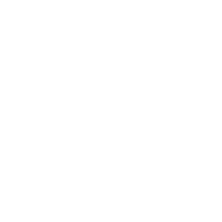 Skameri's emblem
