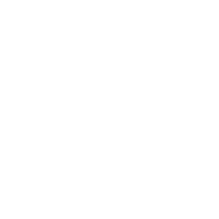 rnopasaran's emblem
