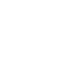 ScumbagNale's emblem