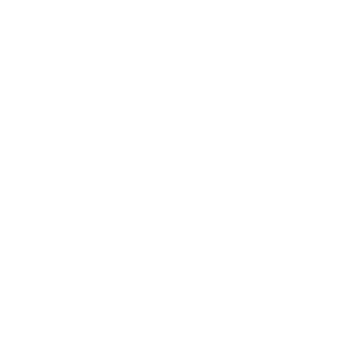 BndiWrld's emblem