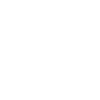 michal1303's emblem