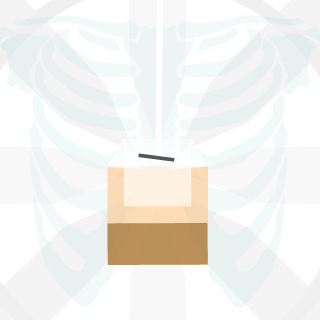 sTOOLchief's emblem