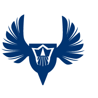 NoAim9119's emblem