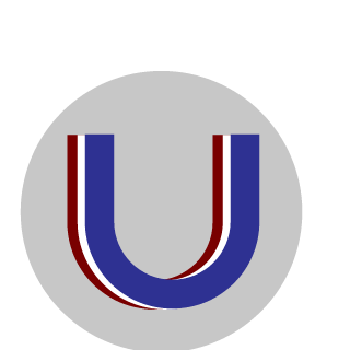 SVVAGGI's emblem