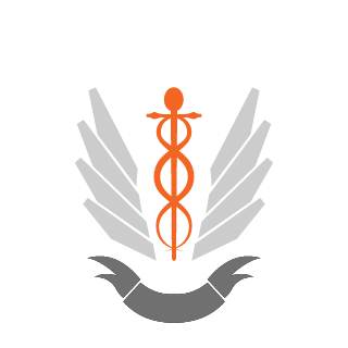 PainlessAssassin's emblem