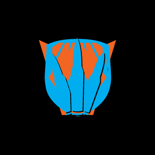 Foculus's emblem