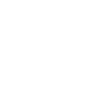 IcyMax84's emblem