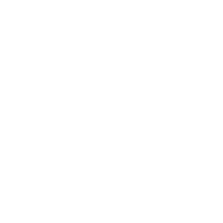 NukeGamerBr's emblem