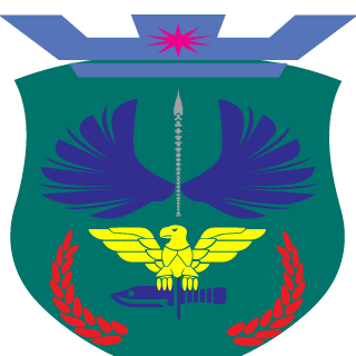 FliegendeNadel's emblem