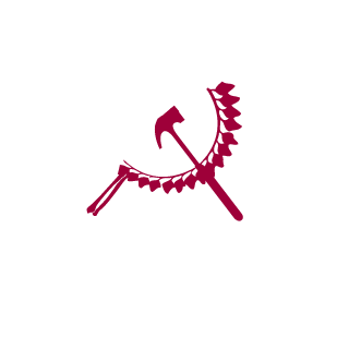 llHanSoloTOP's emblem