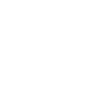 WesleiSillva's emblem