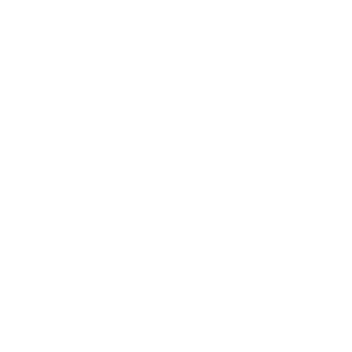 seanybaii's emblem