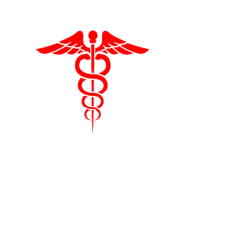 Mishel1312445566's emblem