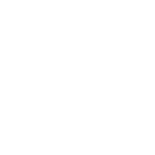 NooneSepcial's emblem