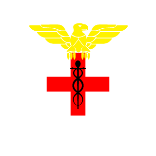GrievingSummer4's emblem