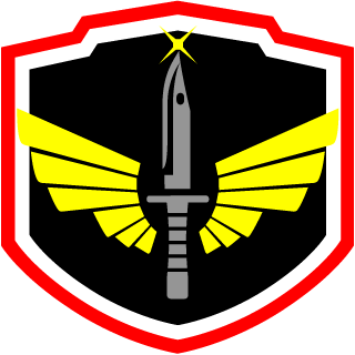 DarkStar24z's emblem