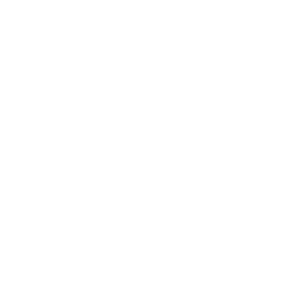 IronViper28's emblem
