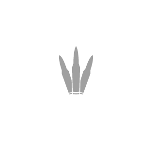 YankesAkaRJ's emblem