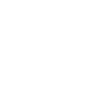 336c9d0b0b05fdd5's emblem