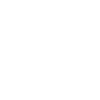 Amonre11's emblem