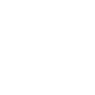 o288's emblem