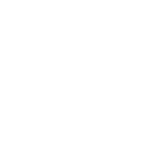 NighTX86's emblem