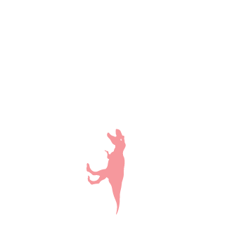 DuGmonkey's emblem
