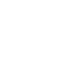 soul8520's emblem