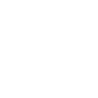 bleachpong's emblem