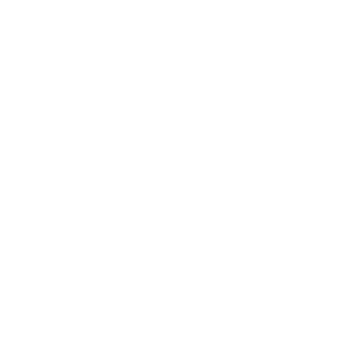 Veerz199's emblem
