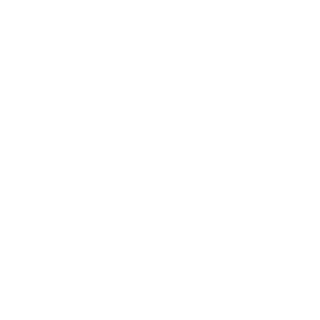 zeezbek's emblem