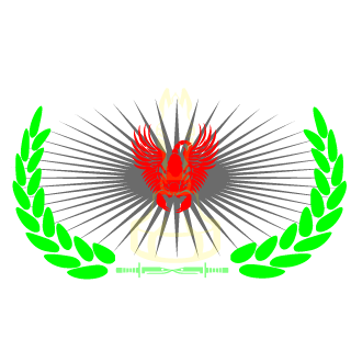 jonaslock337's emblem