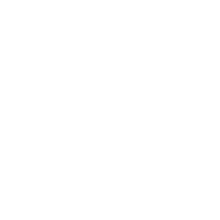 Digital_Lode's emblem