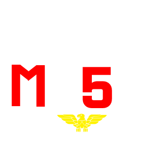 Sasha2010's emblem