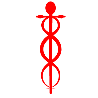 GamerNajinX's emblem