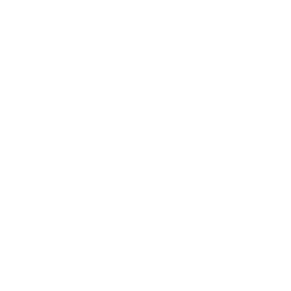 FlzyM8's emblem