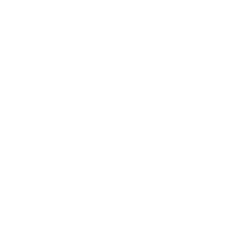 256e8caf7fb55031's emblem